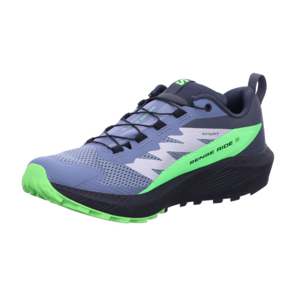 SALOMON L47312800 000 SENSE RIDE 5 GTX Flint Stone/Black/Gr - Bild 1